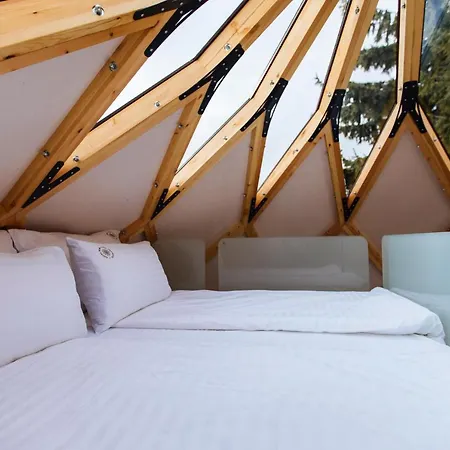 度假居 Armadillo 科帕奥尼克