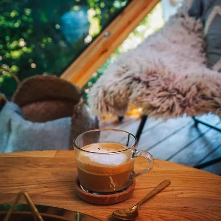 度假居 Armadillo 科帕奥尼克