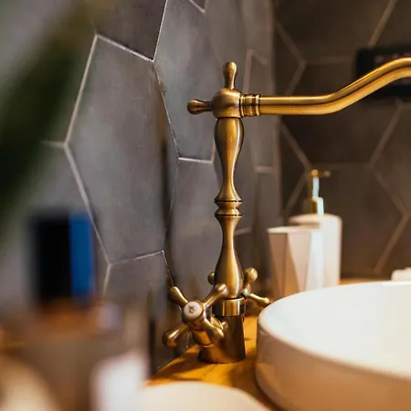 Armadillo 度假居 科帕奥尼克