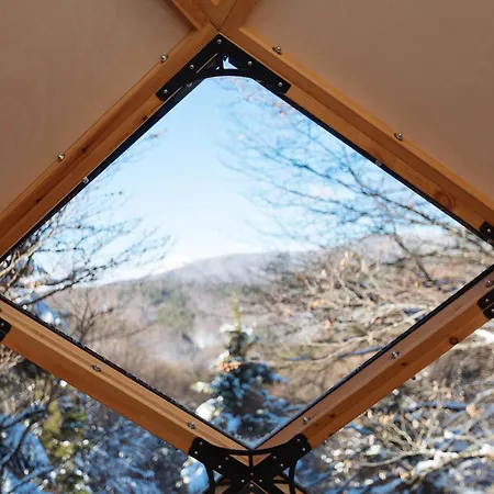 Armadillo كوباونيك