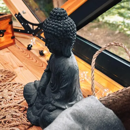 Armadillo * 科帕奥尼克