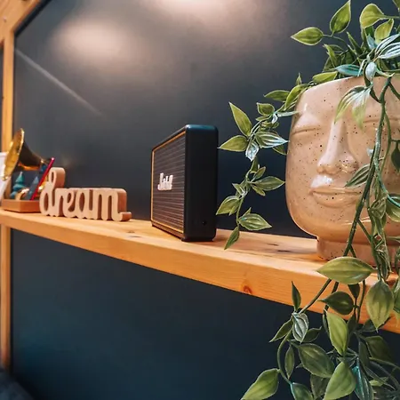 Armadillo 科帕奥尼克