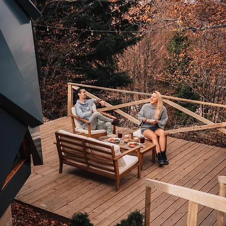 Armadillo 科帕奥尼克