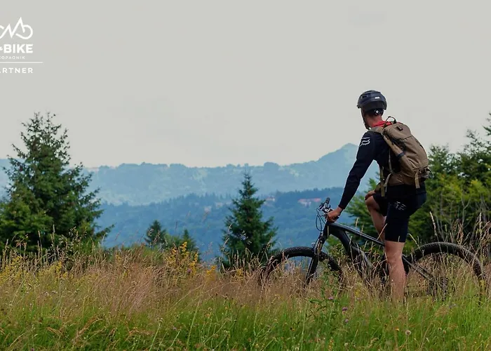 Armadillo Дом отдыха Копаоник