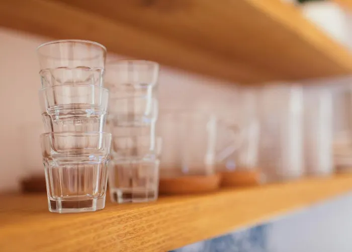 Armadillo * Копаоник