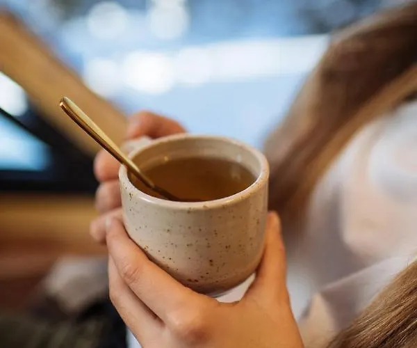 Дом отдыха Armadillo