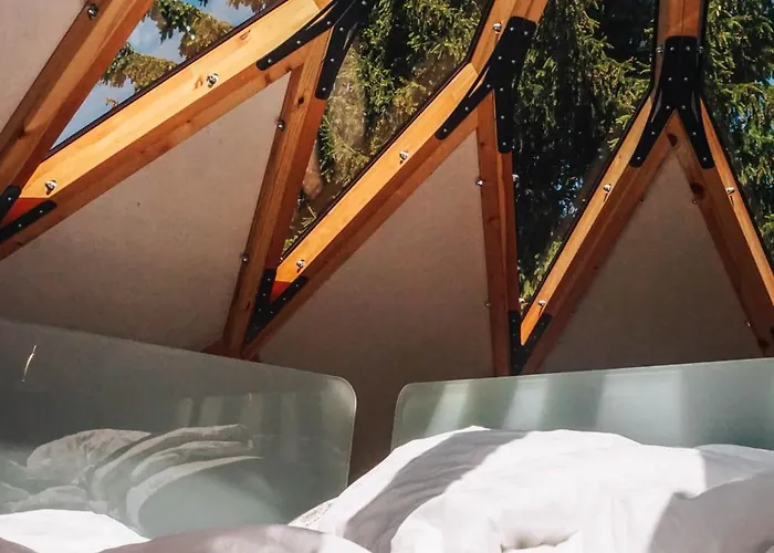 Дом отдыха Armadillo *