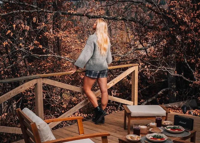 Дом отдыха Armadillo