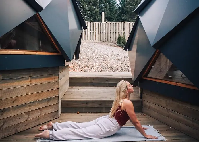 Дом отдыха Armadillo