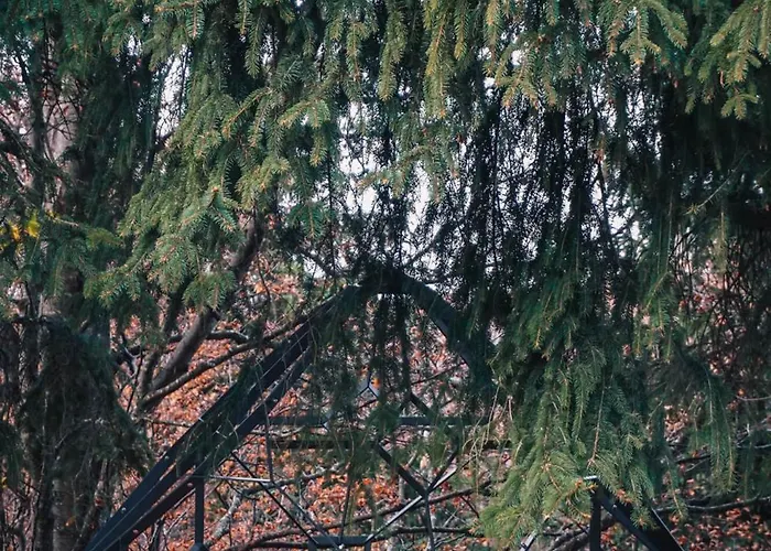 Armadillo * Копаоник