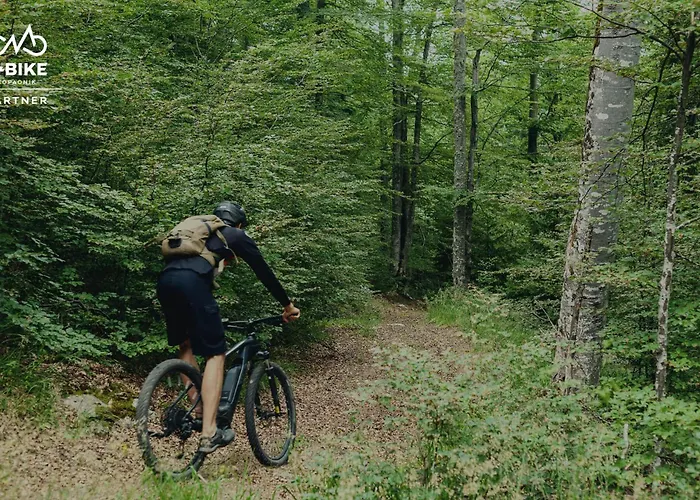 Armadillo Дом отдыха Копаоник